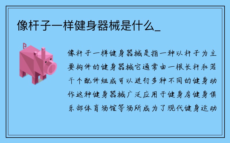 像杆子一样健身器械是什么_