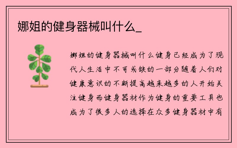 娜姐的健身器械叫什么_