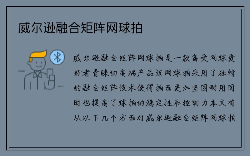 威尔逊融合矩阵网球拍