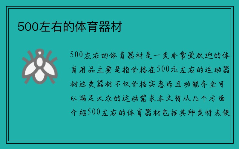 500左右的体育器材