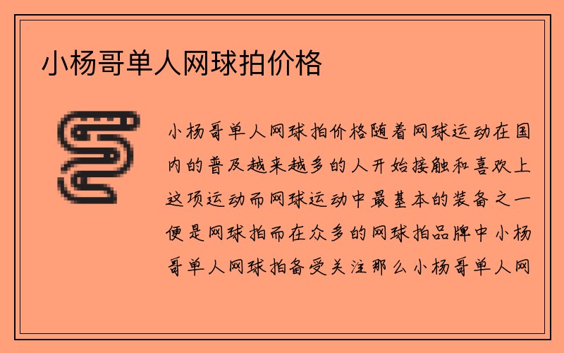 小杨哥单人网球拍价格