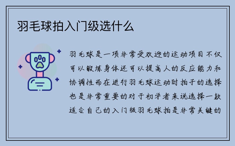 羽毛球拍入门级选什么