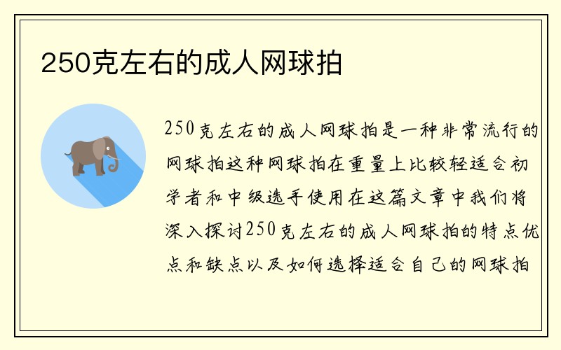 250克左右的成人网球拍